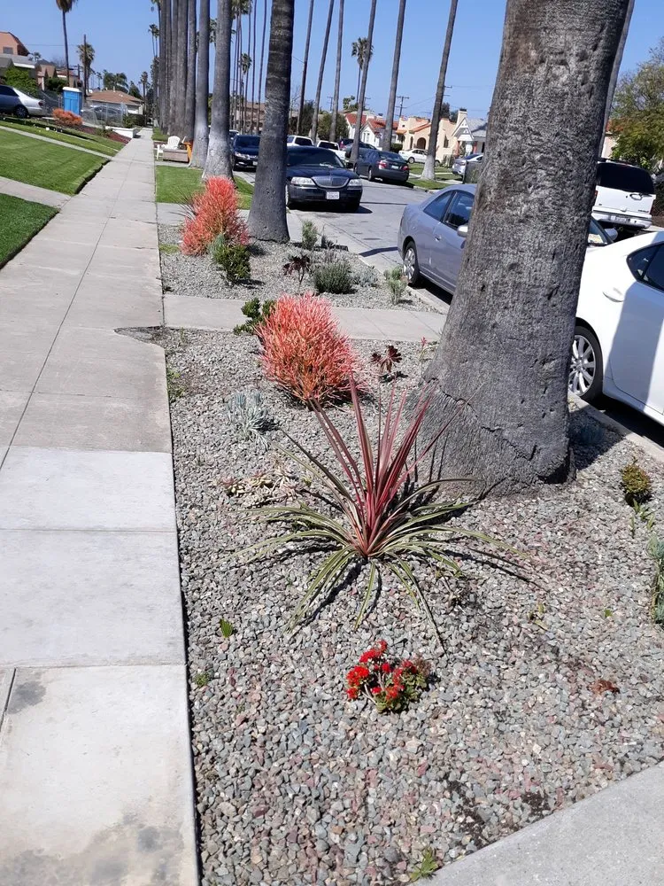 Reliable residential landscaping experts serving Los Angeles, CA - Favela Masonry & Landscapes