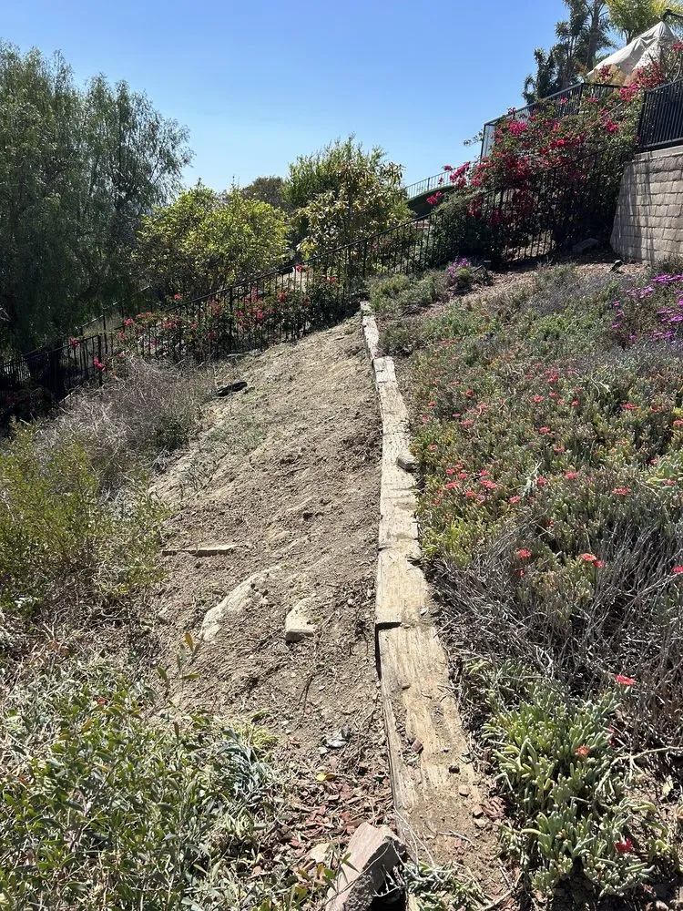 Professional lawn care service with custom design across Placentia, CA - Favela’s Landscaping Service