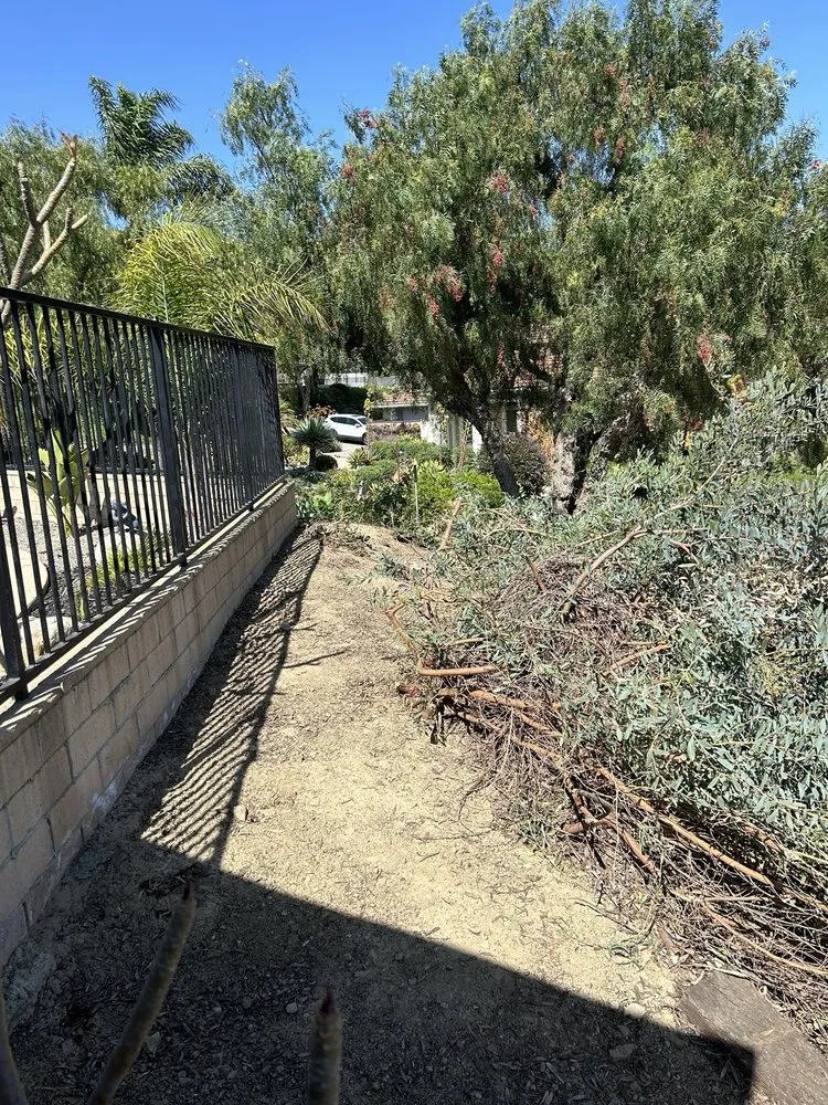 Professional garden landscaping experts serving Placentia, CA - Favela’s Landscaping Service