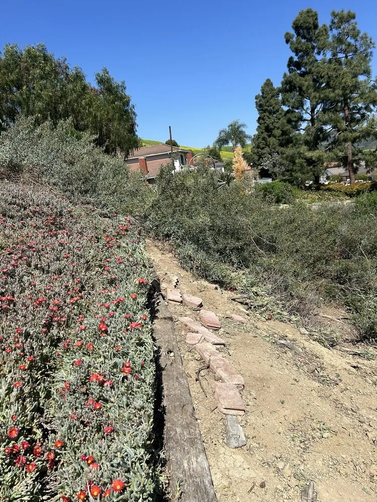 Expert residential landscaping for residential properties across Placentia, CA - Favela’s Landscaping Service