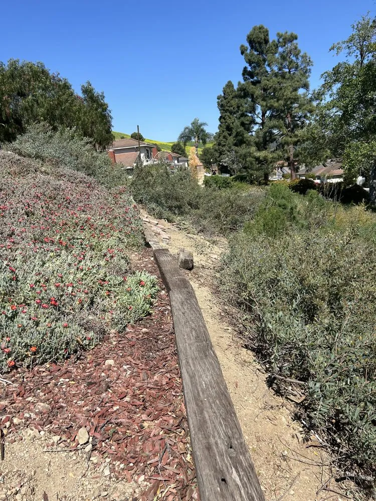 Reliable yard cleanup service in Placentia, CA - Favela’s Landscaping Service