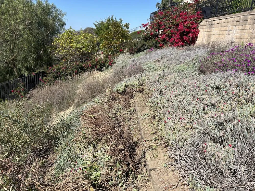 Top-rated residential landscaping in Placentia, CA - Favela’s Landscaping Service