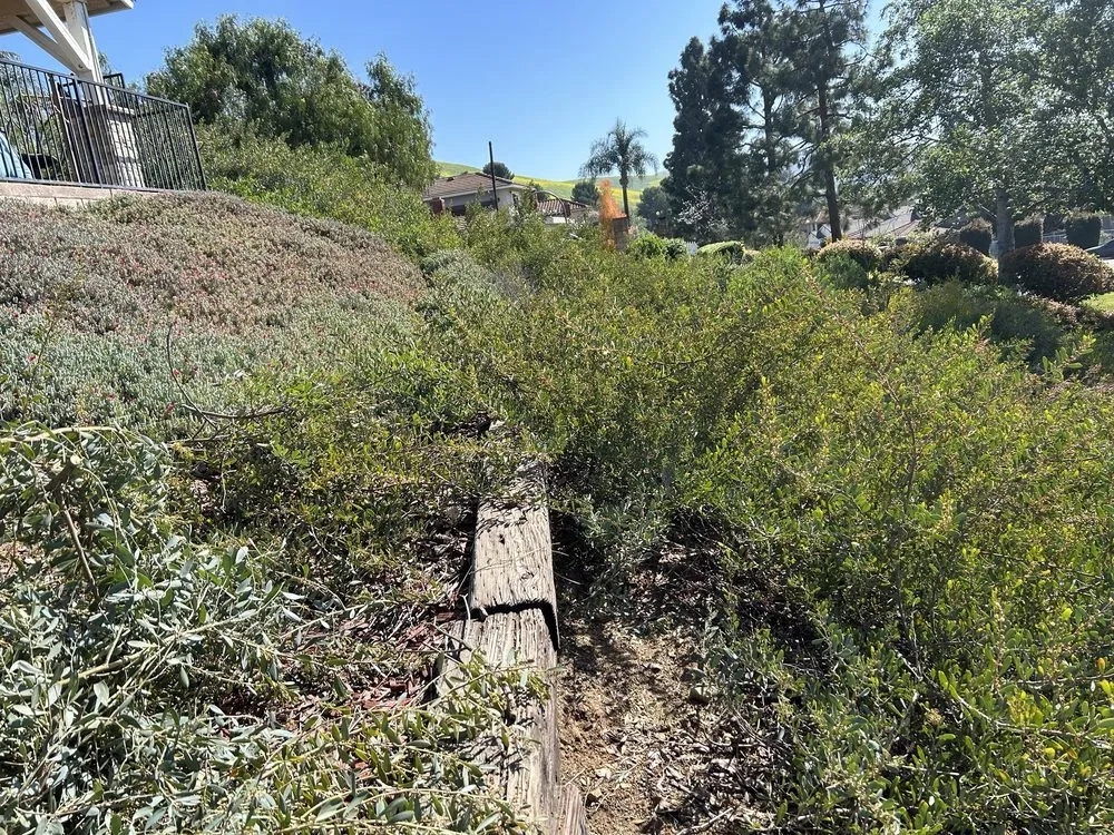 Trusted landscape design experts serving Placentia, CA - Favela’s Landscaping Service