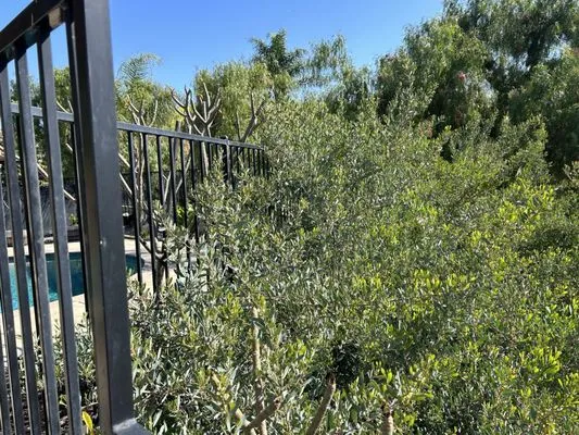 Favela’s Landscaping Service Logo