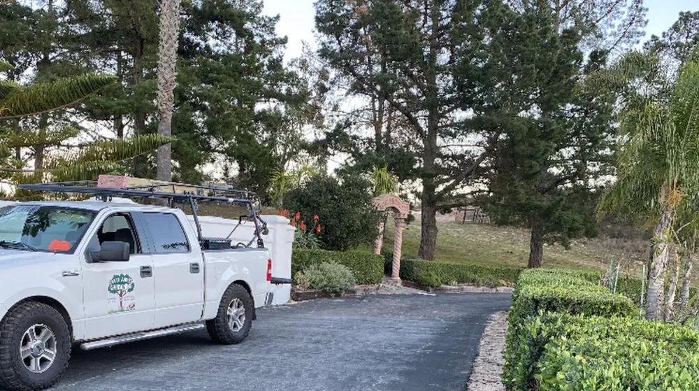 Expert landscaping services near you in Santa Maria, CA by Favio Aviles Gardening