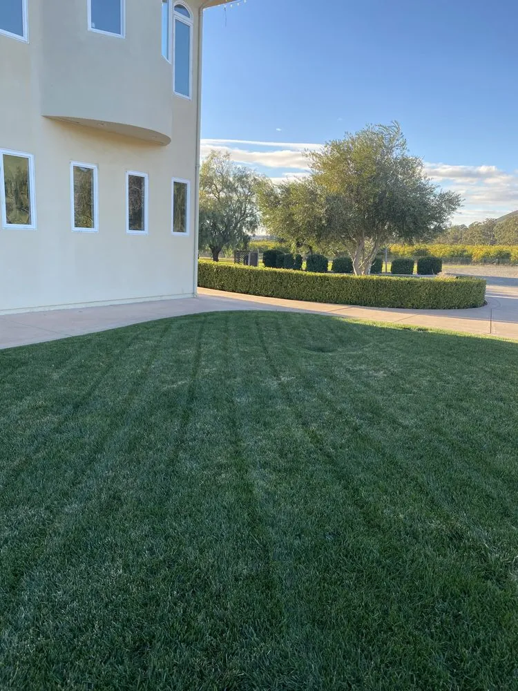 Professional landscape design experts serving Santa Maria, CA - Favio Aviles Gardening