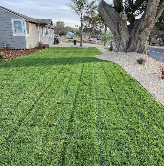 Professional garden landscaping for residential properties in Santa Maria, CA by Favio Aviles Gardening