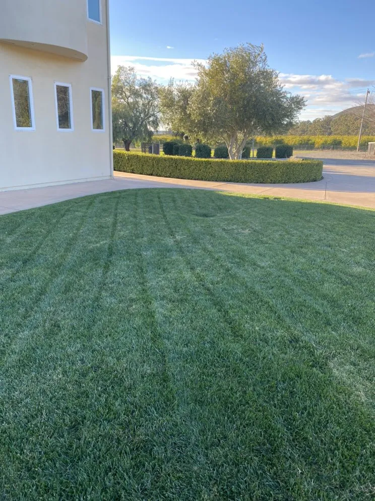 Custom landscaping services with custom design across Santa Maria, CA - Favio Aviles Gardening