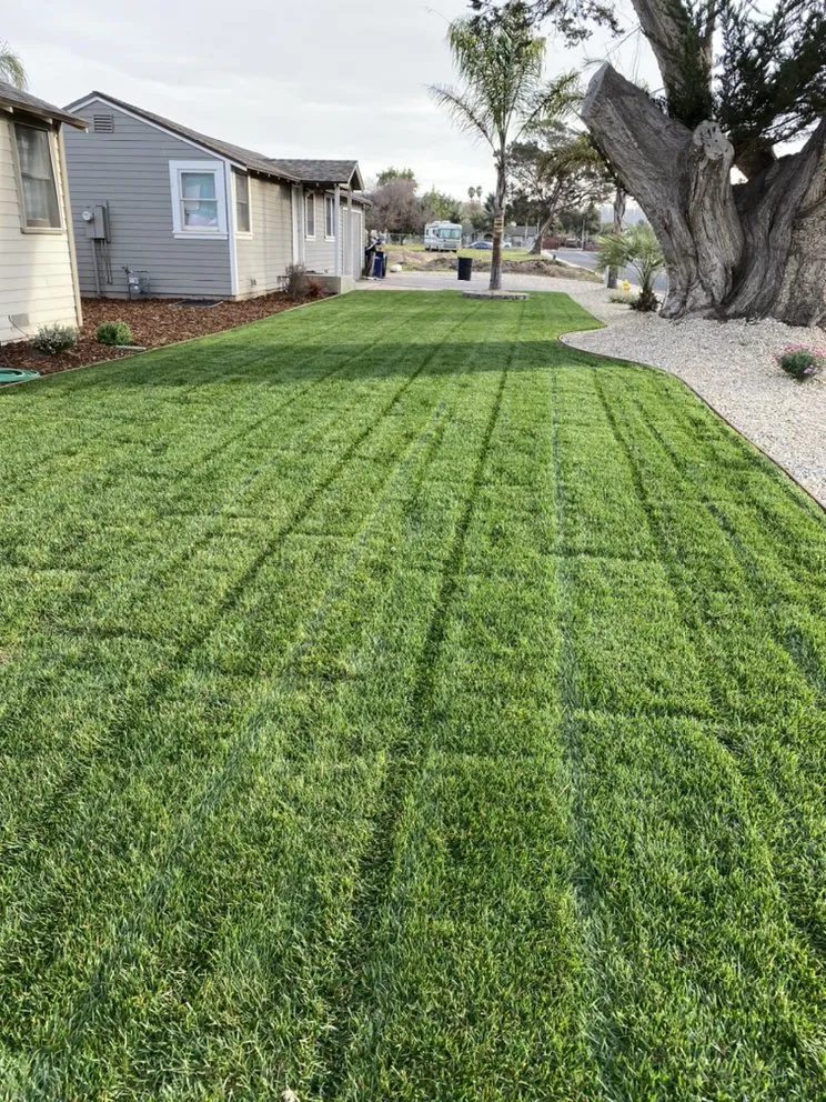 Expert landscaping services near you across Santa Maria, CA - Favio Aviles Gardening