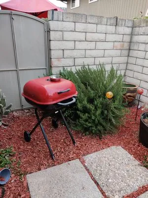 Favor Landscape Logo