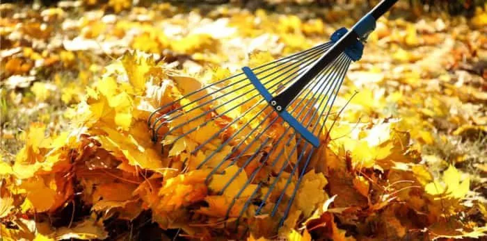 Reliable yard maintenance near you in Draper, UT by Favor-U