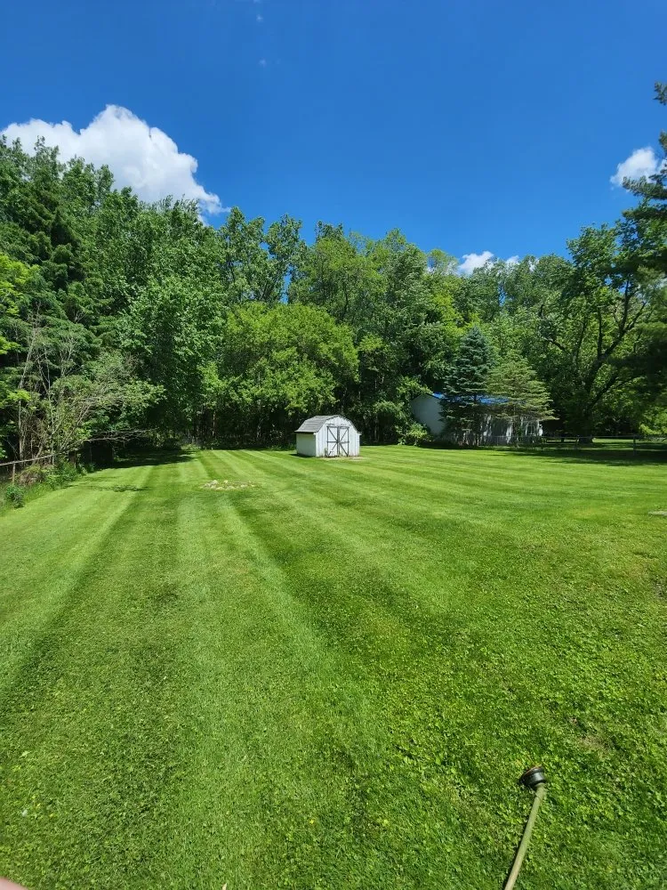 Custom yard cleanup service experts serving East Lansing, MI - Fawaz Lawns