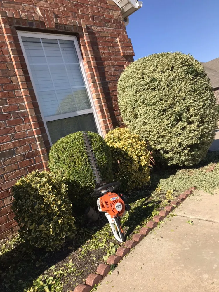 Top-rated yard cleanup service in Fayetteville, AR by Fay-Ark Lawn Co.
