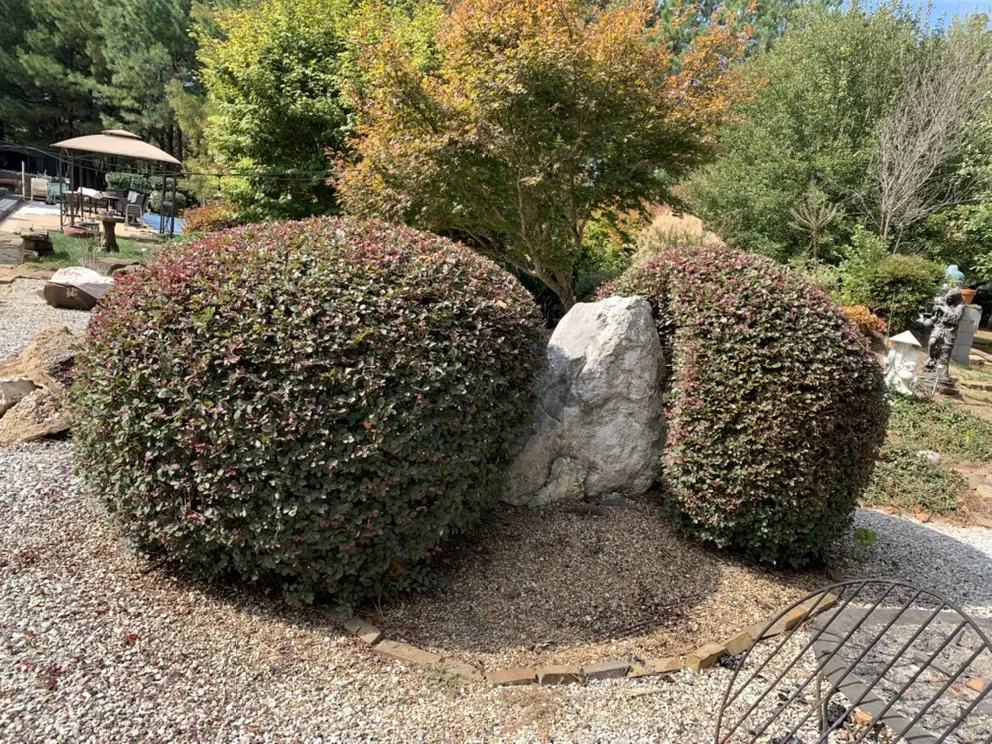 Affordable lawn care service for year-round maintenance across Fayetteville, AR - Fay-Ark Lawn Co.