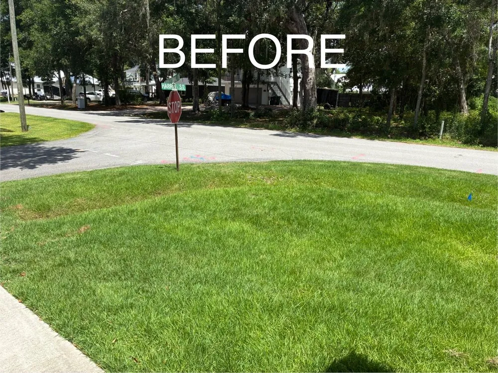 Affordable yard cleanup service in Freeport, FL - Faye’s Lawn Services