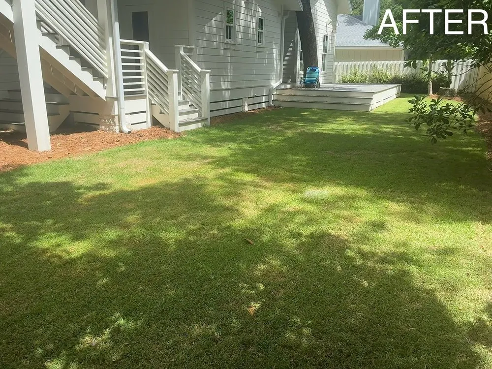 Top-rated yard maintenance for beautiful yards across Freeport, FL - Faye’s Lawn Services