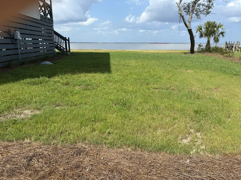 Trusted landscape installation in Freeport, FL - Faye’s Lawn Services