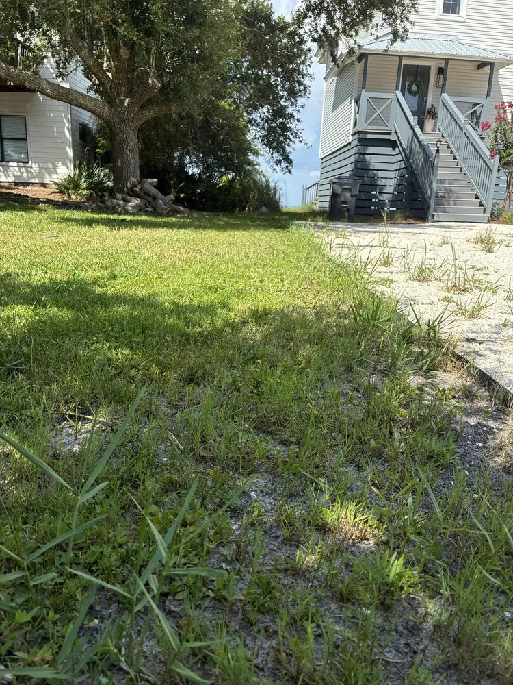 Professional residential landscaping in Freeport, FL - Faye’s Lawn Services