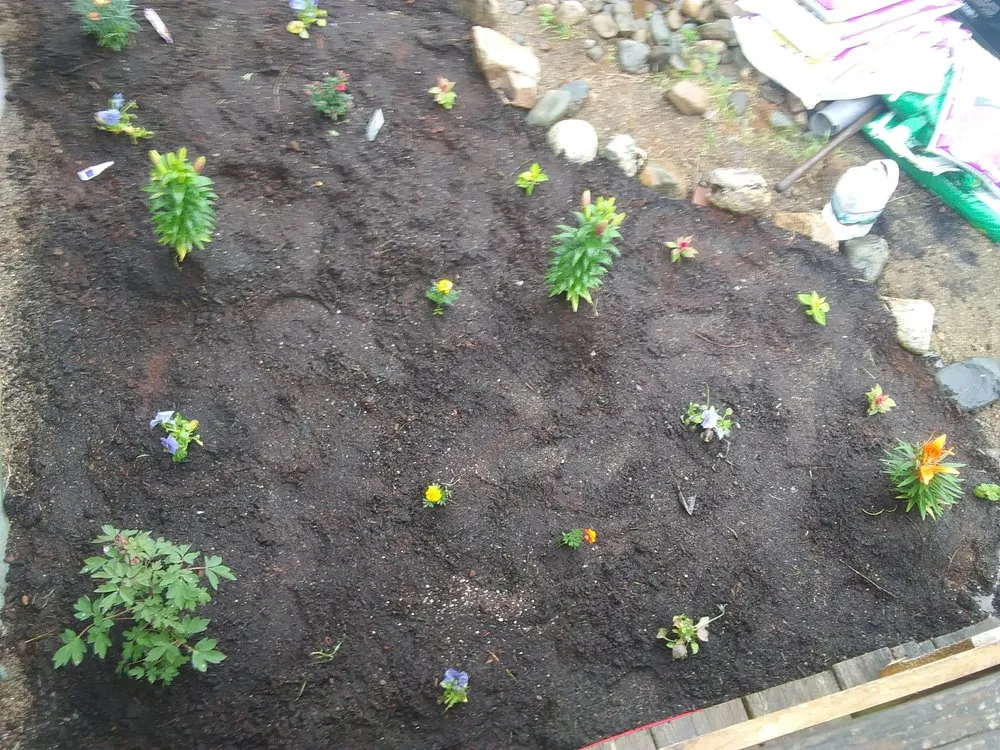Affordable garden landscaping for beautiful yards across Marshfield, ME - Fayes Seasonals