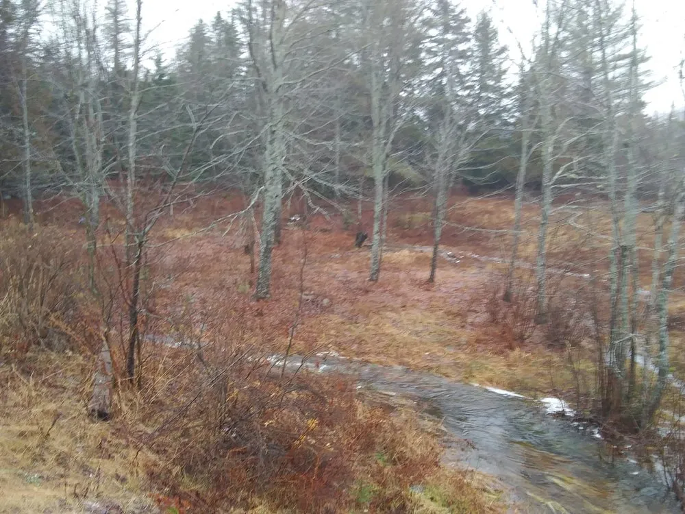 Custom landscaping services experts serving Marshfield, ME - Fayes Seasonals