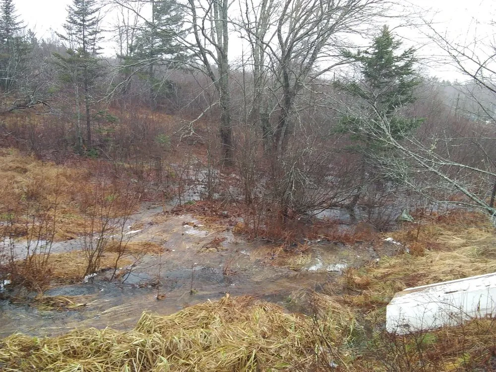 Affordable outdoor landscaping in Marshfield, ME by Fayes Seasonals
