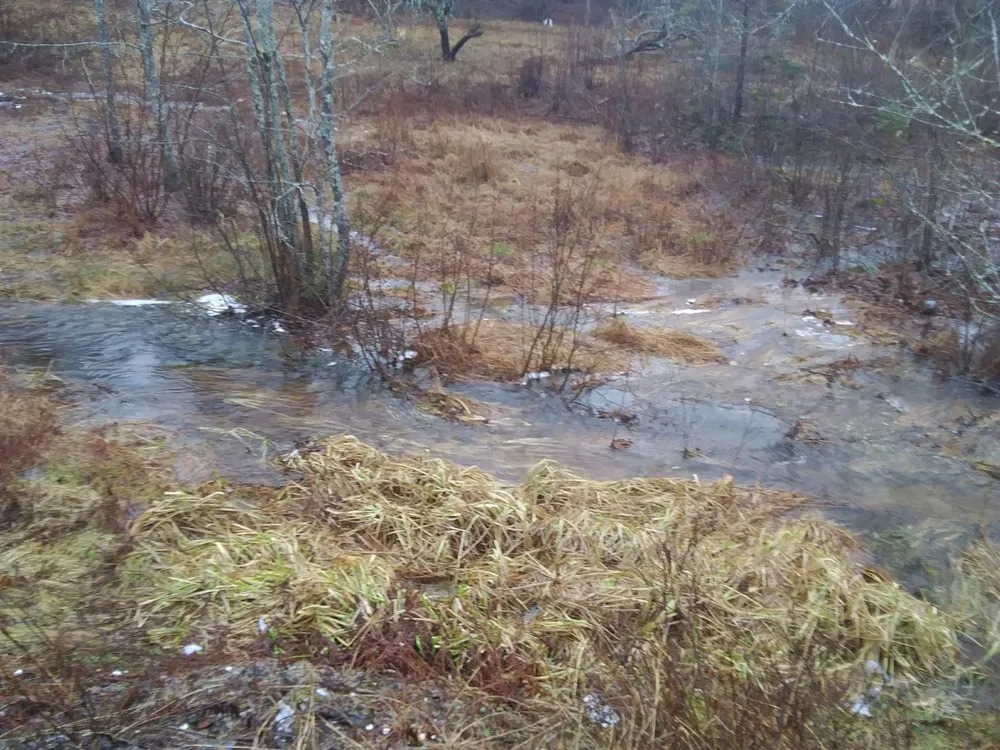 Trusted landscape installation experts serving Marshfield, ME - Fayes Seasonals
