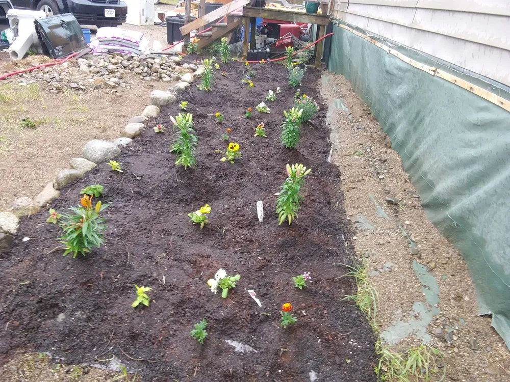 Expert residential landscaping experts serving Marshfield, ME - Fayes Seasonals