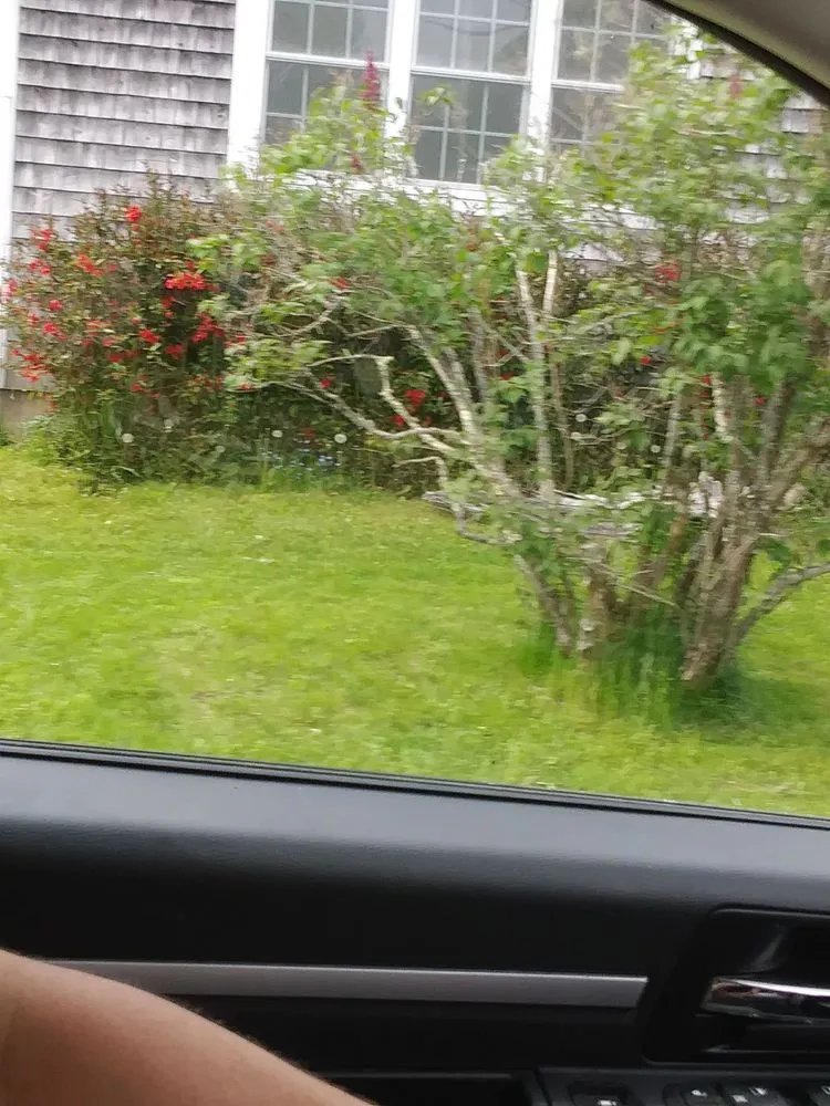 Professional lawn care service experts serving Marshfield, ME - Fayes Seasonals