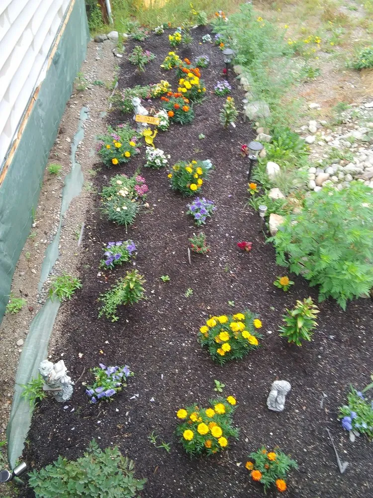 Local lawn care service experts serving Marshfield, ME - Fayes Seasonals