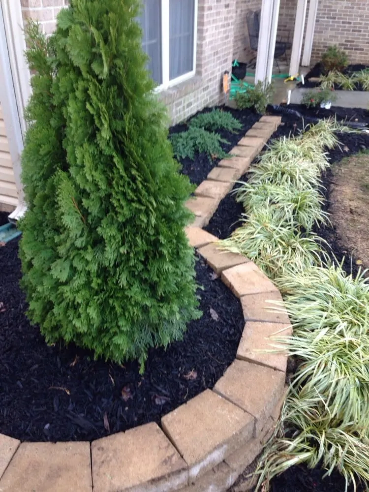 Custom yard maintenance for year-round maintenance in Lexington, KY by Fayette County Landscaping