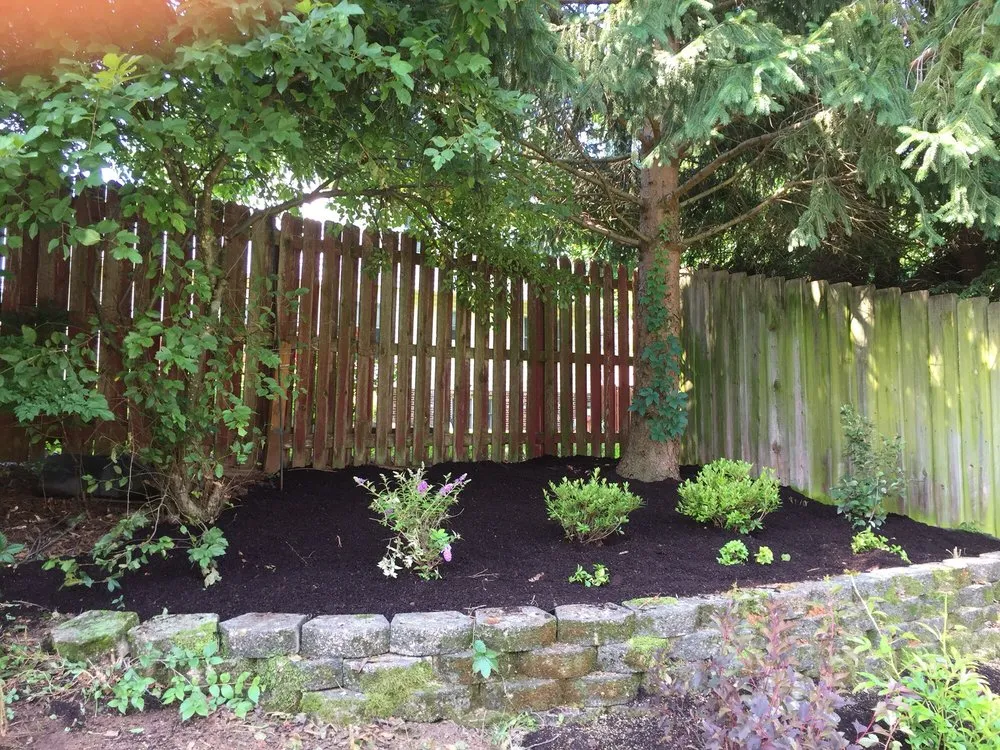 Top-rated yard cleanup service in Lexington, KY - Fayette County Landscaping