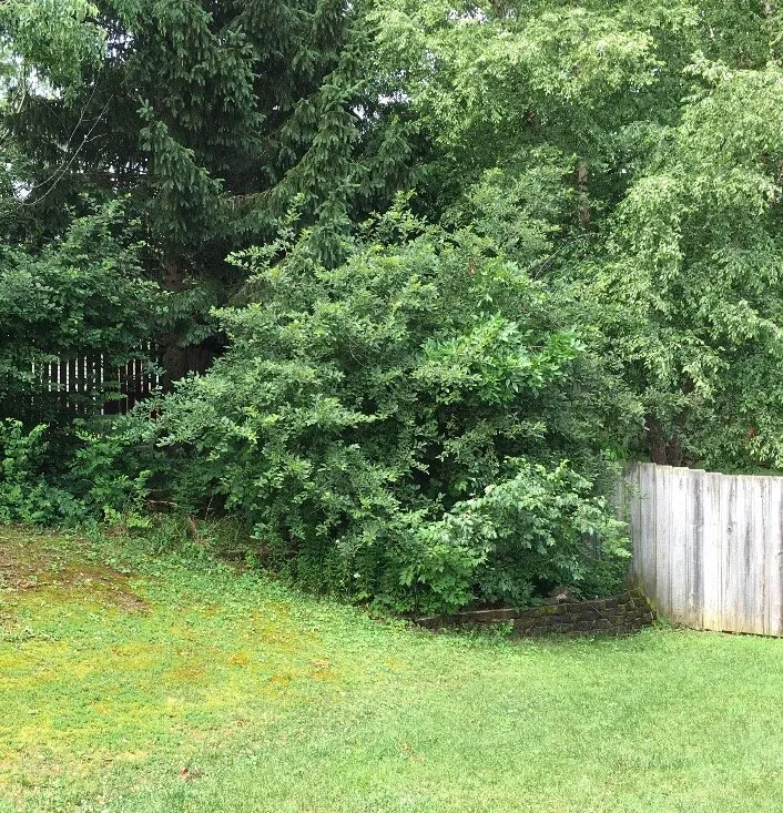 Trusted landscaping services experts serving Lexington, KY - Fayette County Landscaping