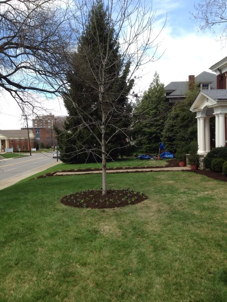 Top-rated landscaping services in Lexington, KY by Fayette County Landscaping