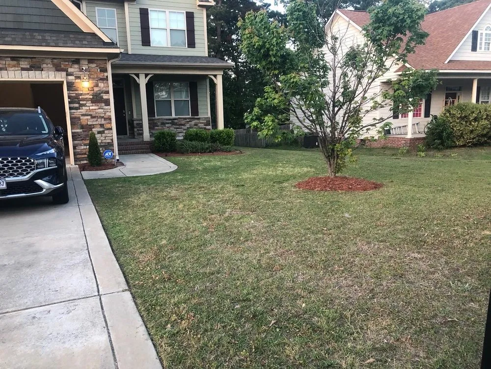 Trusted yard cleanup service experts serving Fayetteville, NC - Fayettelawn Plus