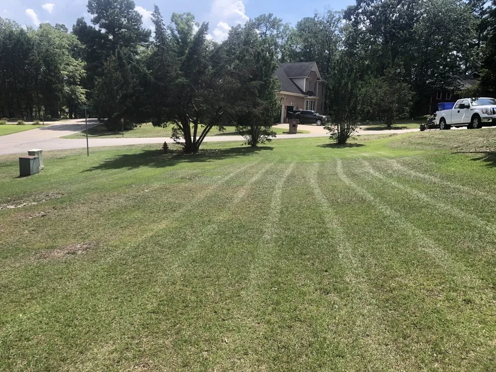 Professional landscaping services experts serving Fayetteville, NC - Fayettelawn Plus