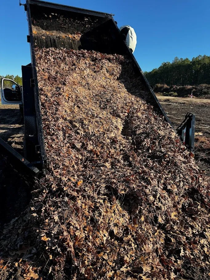 Top-rated yard cleanup service for beautiful yards across Raeford, NC - Fayetteville Lawn