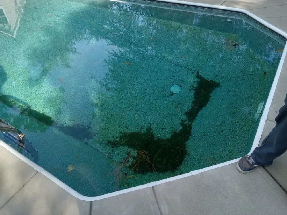 Reliable outdoor landscaping in Spring Lake, NC by Fayetteville Pool Cleaning & Lawn