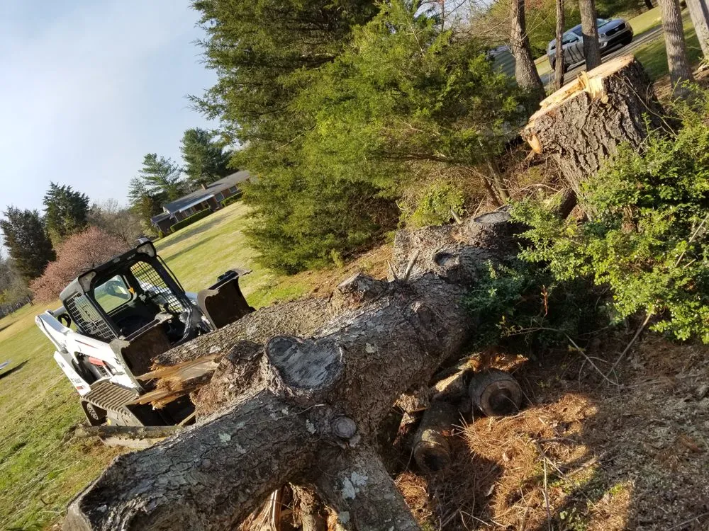 Affordable outdoor landscaping near you across Summerfield, NC - Fays Lawn, Land & Tree