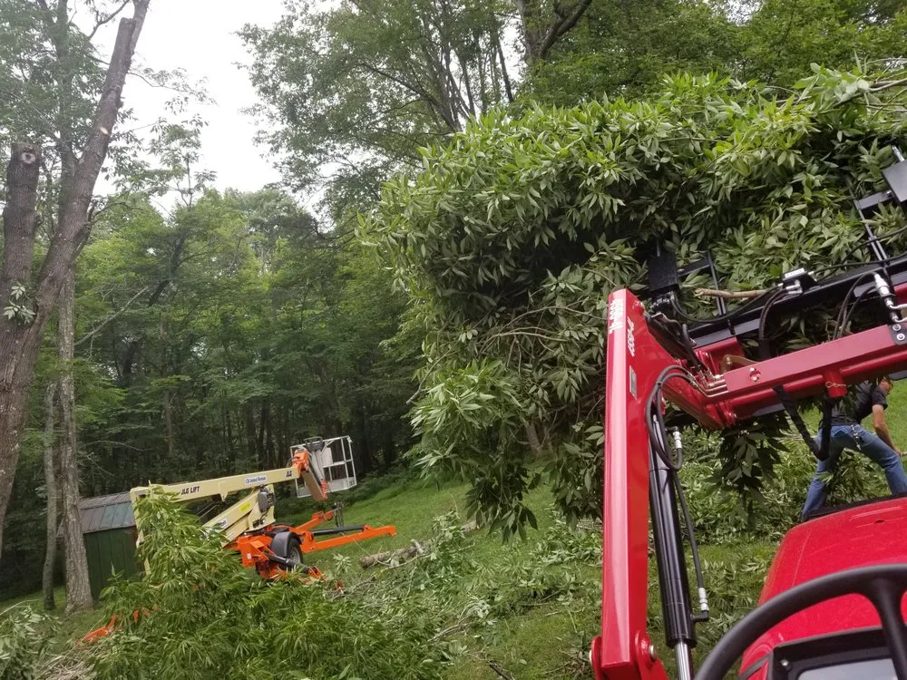 Custom yard cleanup service experts serving Summerfield, NC - Fays Lawn, Land & Tree