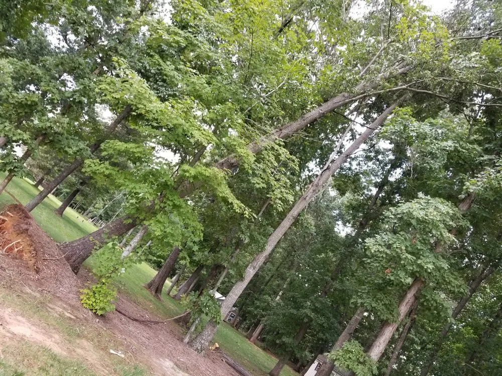 Custom lawn care service in Summerfield, NC by Fays Lawn, Land & Tree