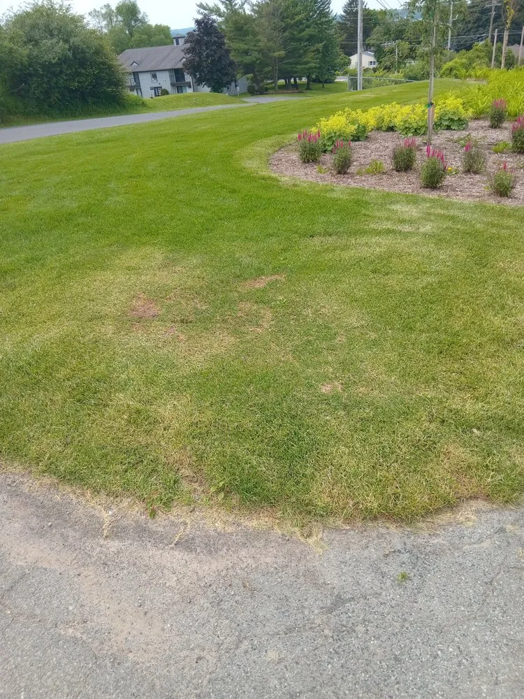 Affordable outdoor landscaping for residential properties in Syracuse, NY by Fazs Property Maintenance