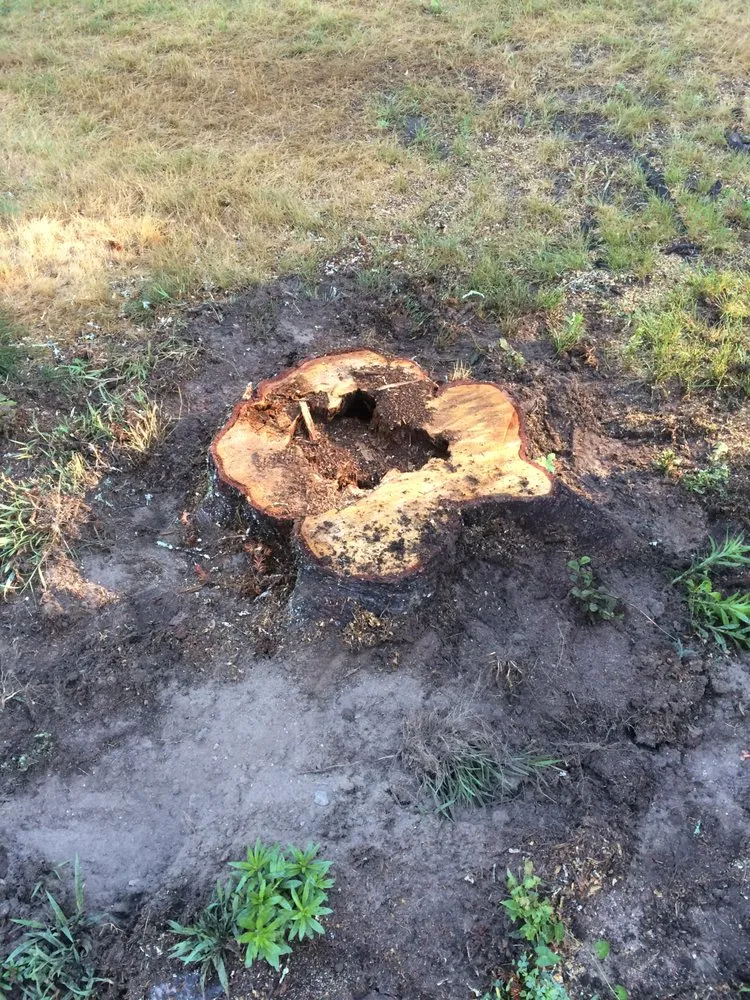 Professional lawn mowing service experts serving Upton, MA - FB Budge Land Services