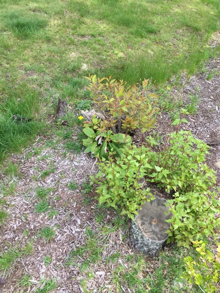 Top-rated landscape design in Upton, MA - FB Budge Land Services