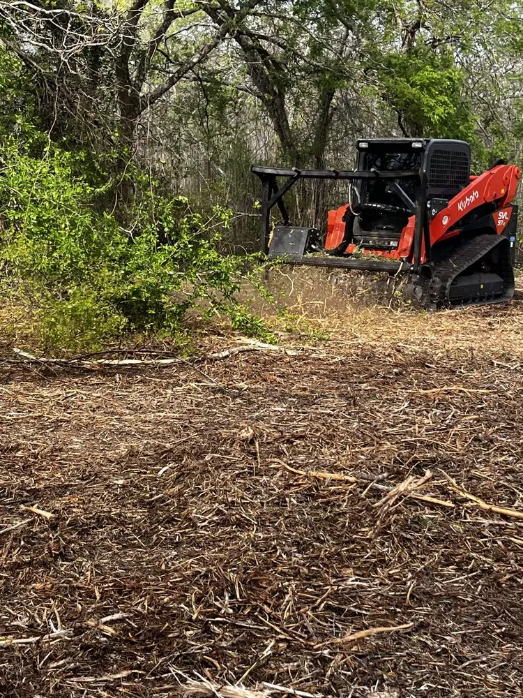 Affordable yard cleanup service in Houston, TX by FB Land Management