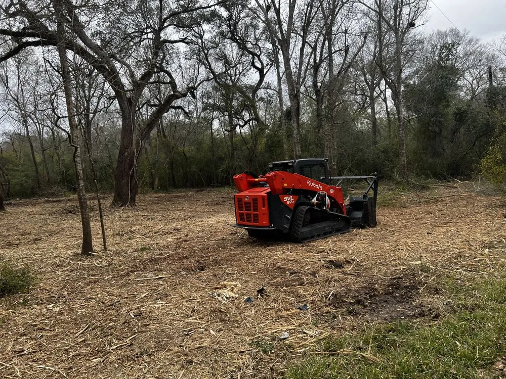 Custom outdoor landscaping in Houston, TX - FB Land Management