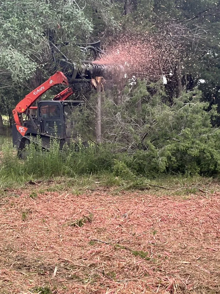 Trusted residential landscaping in Houston, TX - FB Land Management