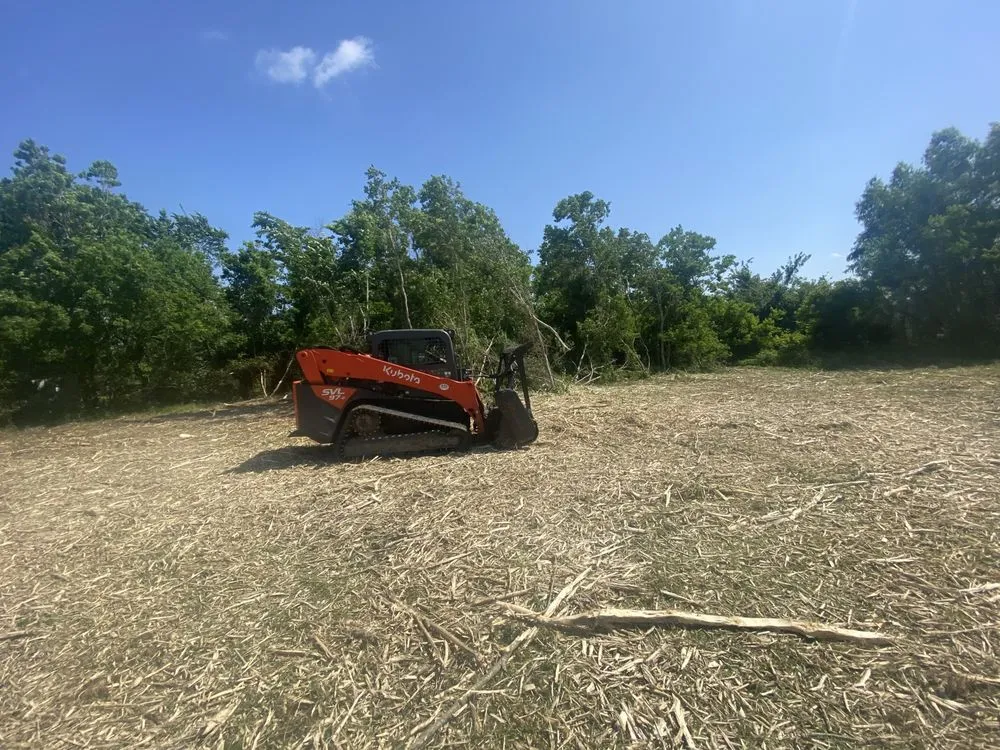 Custom lawn care service in Houston, TX - FB Land Management