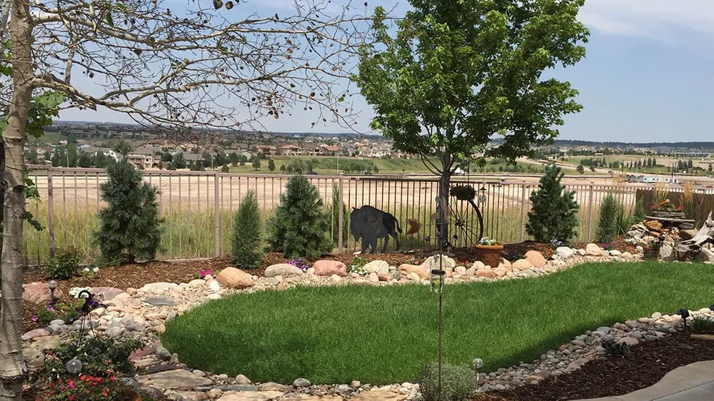 Professional yard maintenance for year-round maintenance across Colorado Springs, CO - F&B Landscaping