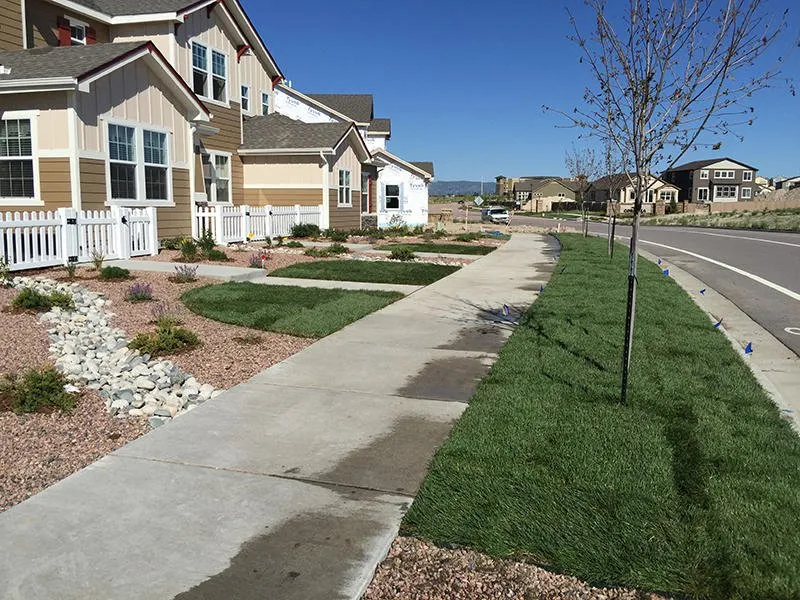 Affordable landscape design in Colorado Springs, CO by F&B Landscaping