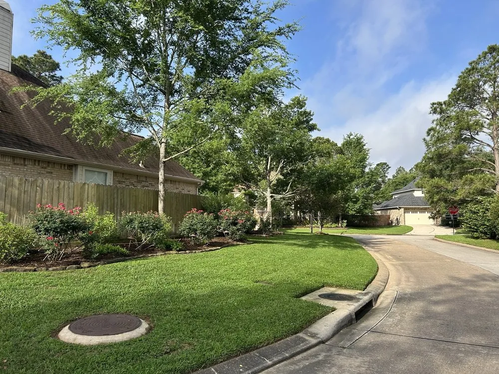 Expert yard cleanup service for beautiful yards across Houston, TX - Fb Landscaping